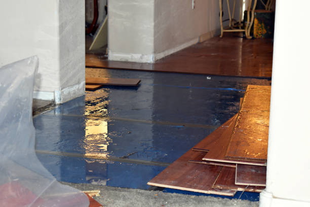 Professional Burst Pipe Water Damage technician working in Corning, IA